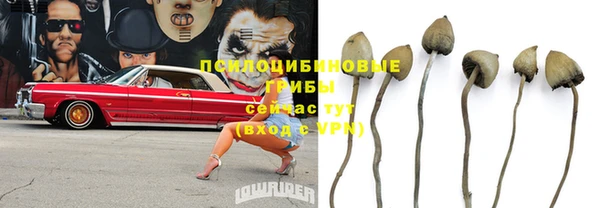 не бодяженный Алзамай